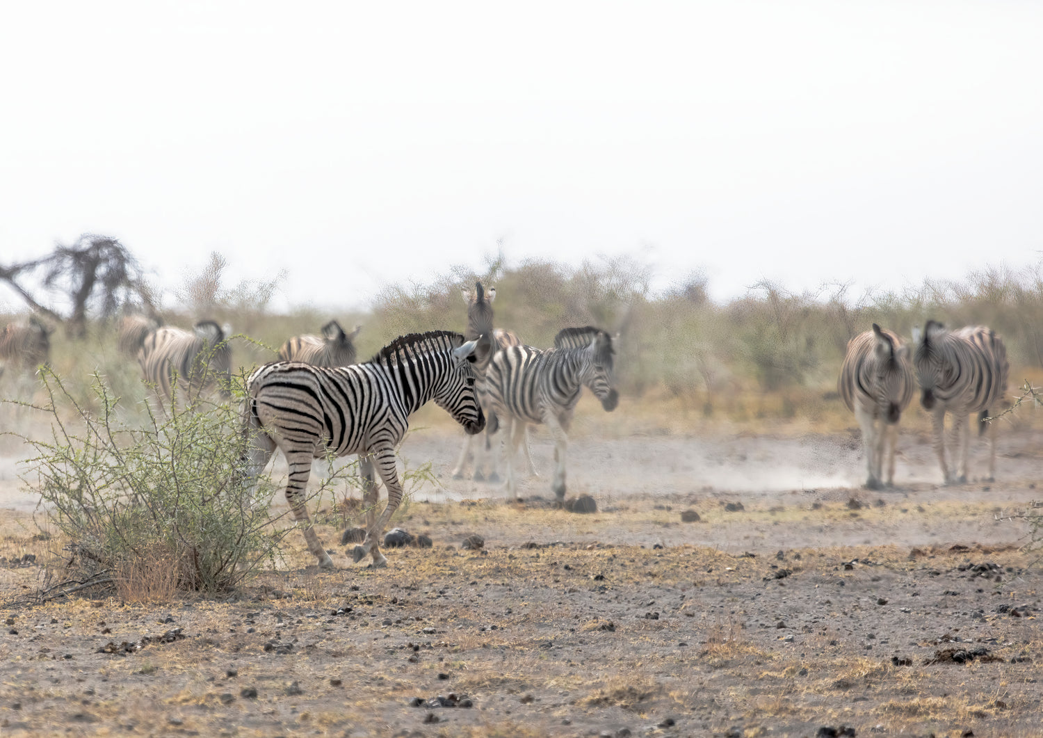 Namibia 2