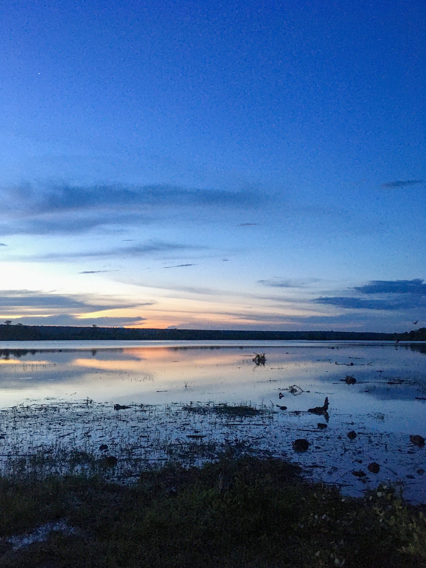Ultimate Smartphone Photography Online Course