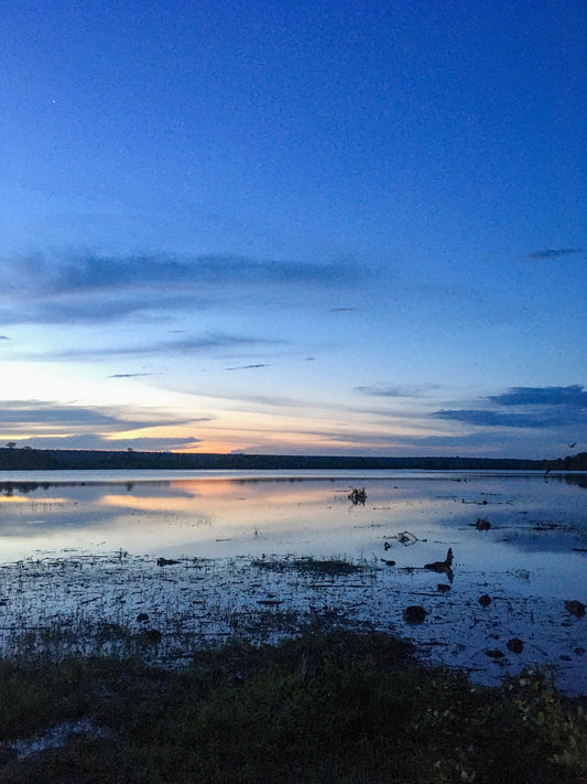Ultimate Smartphone Photography Online Course